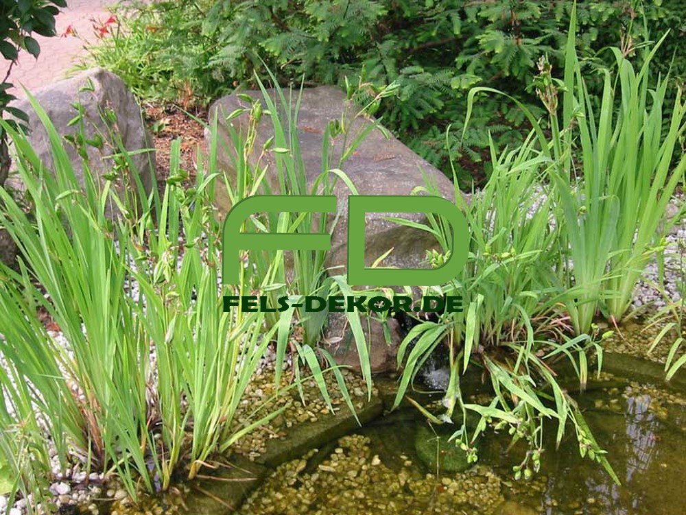 picture/felsdekor_kunstfelsen_bio10_mf06_1 (1).jpg